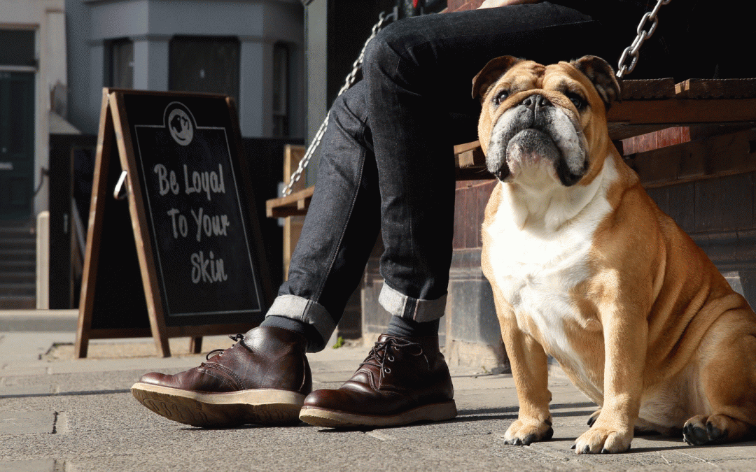 [Concours] Bulldog, la marque de soins pour hommes qui a du chien !
