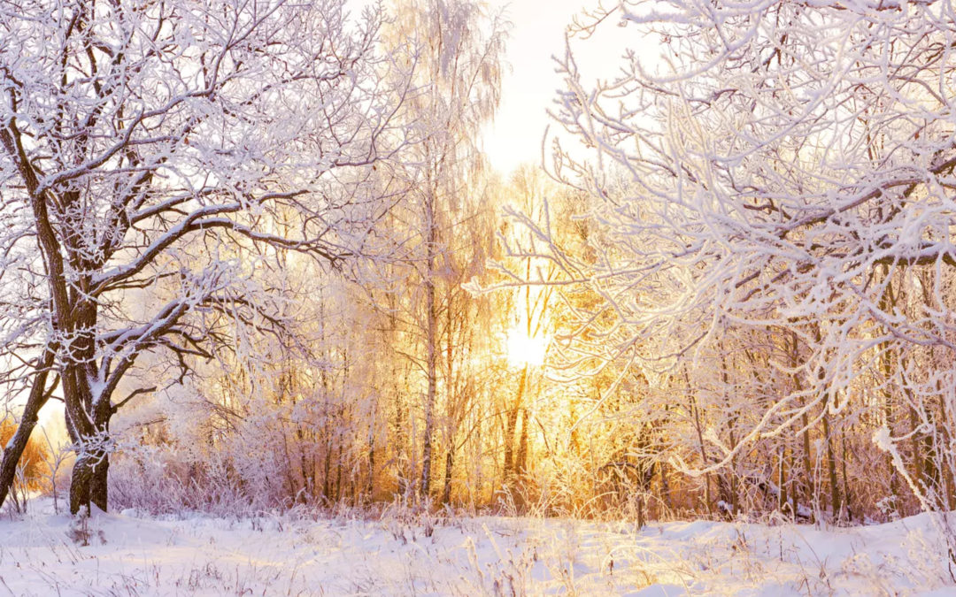 Bougies d’hiver et senteurs parfumées