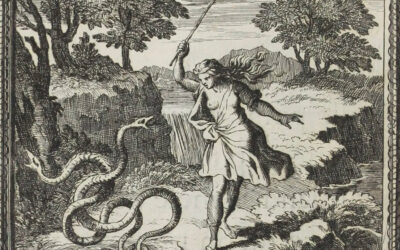 Mythes et autres histoires parfumés